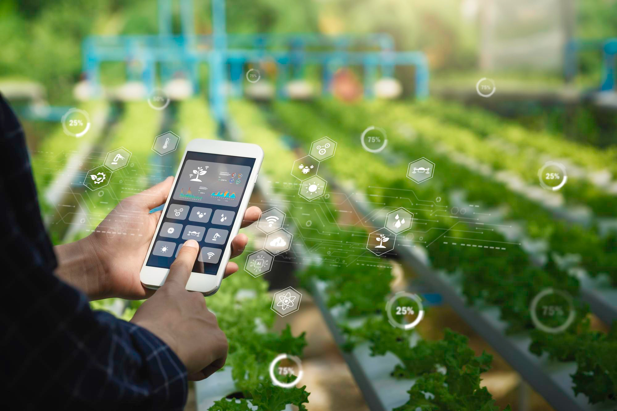 Smart Farming: Bagaimana IoT Mengubah Pertanian Modern